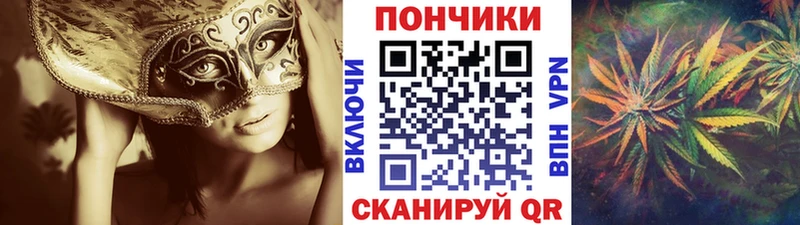 Купить где  Нефтекумск  Конопля сатива 